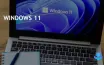 Windows 11 стал самой популярной ОС на платформе Steam