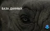 EDB запускает Postgres AI для улучшения рабочих нагрузок в компаниях