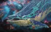 Aquatica привлекает внимание несмотря на критику