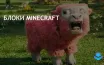 Warner Bros выпустила первый трейлер фильма по игре Minecraft