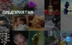 Местный бизнес в Платт-Вэлли привлекает больше внимания и инвестиций