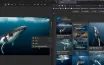 Новый функционал визуального поиска в инструменте Snipping Tool