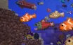 Minecraft игрок поделился уникальной коллекцией тропических рыбок