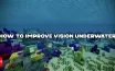Minecraft: Улучшение видимости под водой