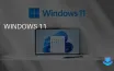Windows 11 достигла 72,57% доли рынка в феврале