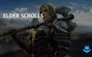 Elder Scrolls: Bethesda проводит благотворительный аукцион