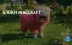 Анонсирован фильм по Minecraft, первый трейлер вызвал ностальгию у фанатов