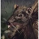 The Rats in the Wall