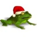 Christmas Super Frog