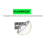 FlickrFox