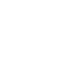 Flypaper