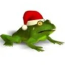 Christmas Super Frog