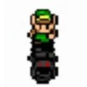 Zelda - Realm of Shadows