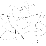 Lylipond