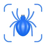 Insect Identification Guide