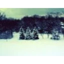 Cold Winter Screensaver