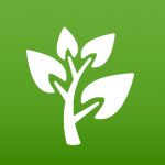 Plantas Utiles