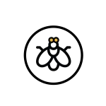 BGEye