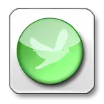 oRipa Screen Recorder
