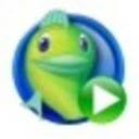 Fireworks Extravaganza