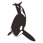 Orca