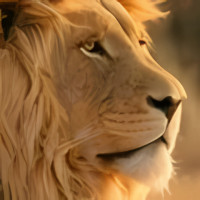 Mac OS X Lion