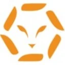 Lion File Protector