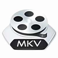 MKV Player