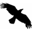 Data Crow