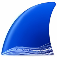 Wireshark
