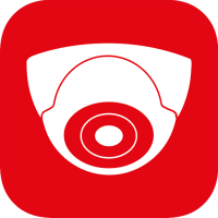 Active Webcam