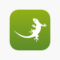 Gekko Manager