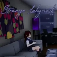 Strange Labyrinth