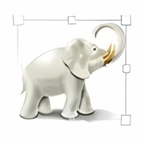 Image Tuner