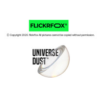 FlickrFox