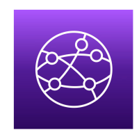 MANAGER NETWORK DETECTOR