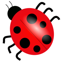 Rounded Bugs Ex