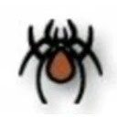 BrownRecluse