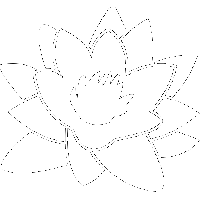 Lylipond