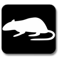 Ratmania