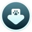 VidPaw