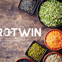 Protwin