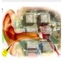 Digital Ear