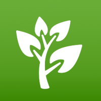 Plantas Utiles