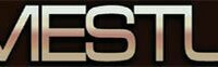 3D GameStudio