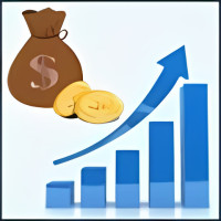 Financial Accounting Program