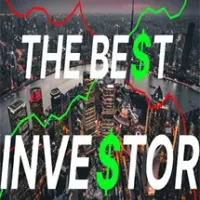 THE BEST INVESTOR