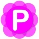 Pamela for Skype