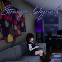 Strange Labyrinth