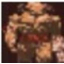 DooM: Fall of Mars